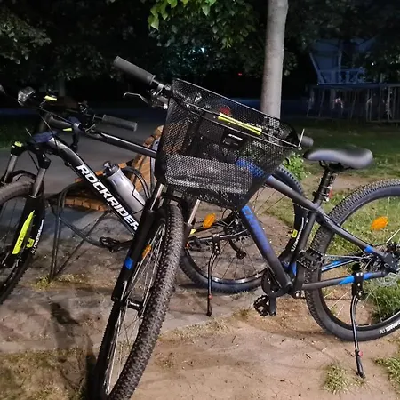 Cozy Flat Near The Center